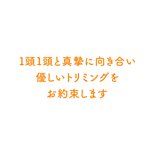 健康維持や改善を目的としたペットサロン